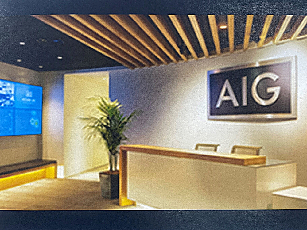 ＡＩＧ損害保険㈱